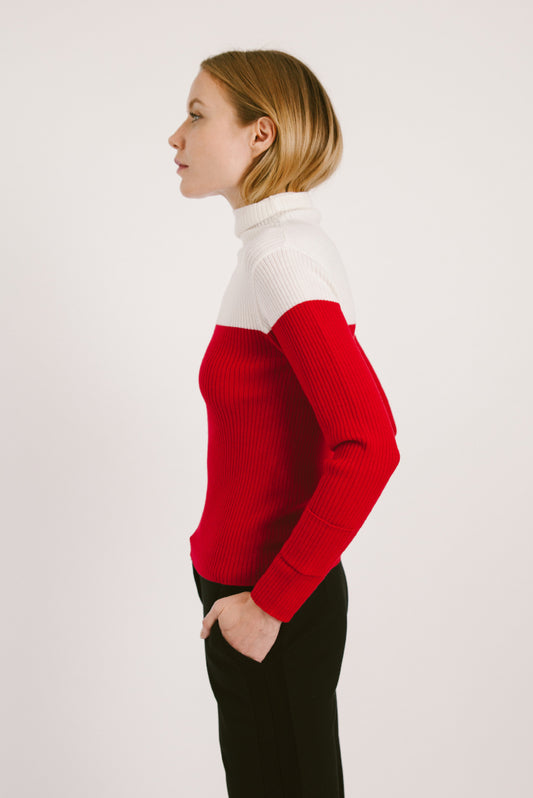Color-Block Turtleneck Sweater